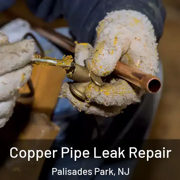  Copper Pipe Leak Repair Palisades Park, NJ