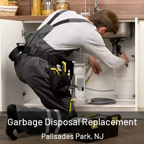  Garbage Disposal Replacement Palisades Park, NJ