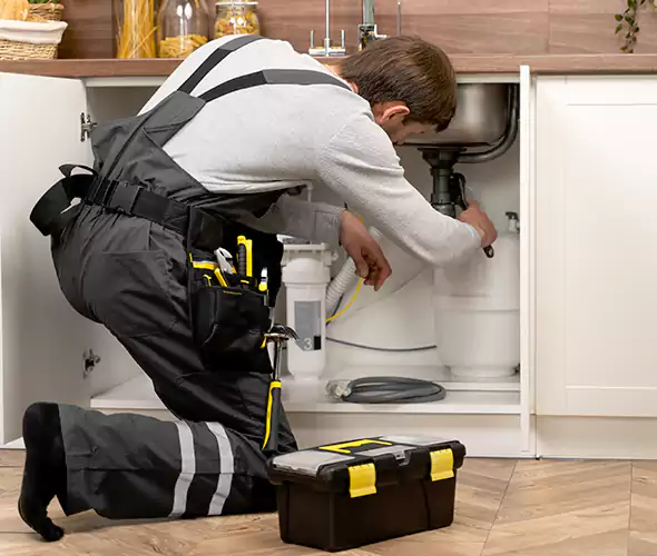 Certified Plumbers for Insinkerator Installation in Palisades Park