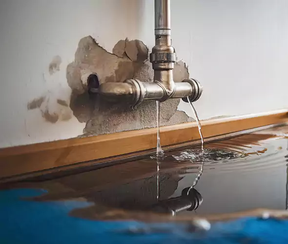 Professional Water Damage Restoration Experts in Palisades Park, NJ — Fast, Reliable & Certified