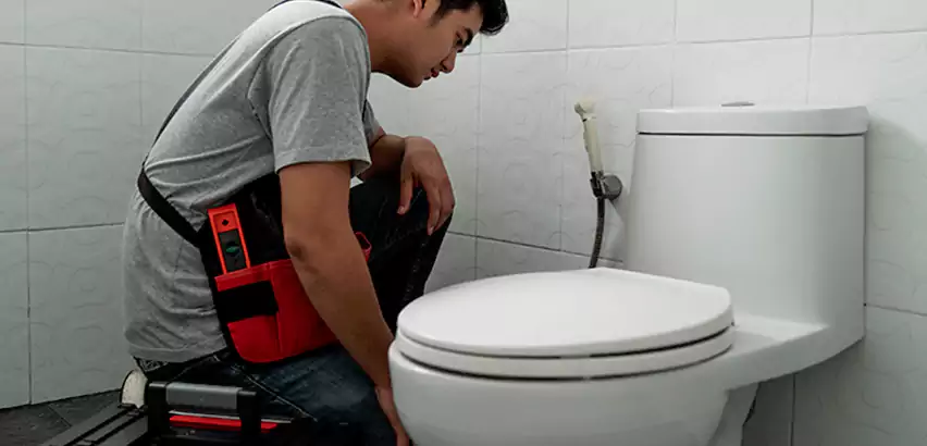 Toilet Repair in Palisades Park