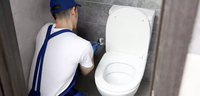 Toilet Lid Replacement in Palisades Park