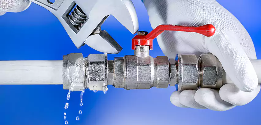 Water Line Repair in Palisades Park, NJ