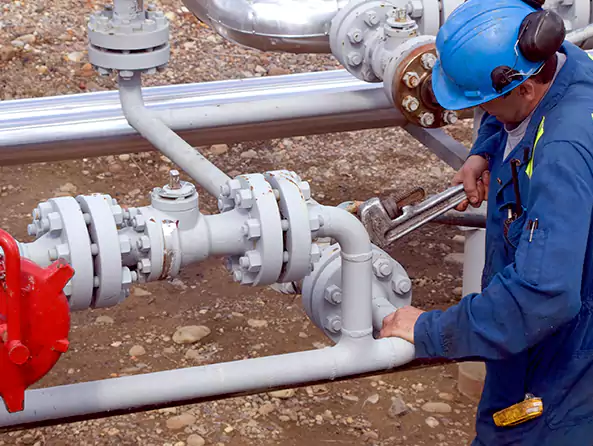 Why Choose Palisades Park Plumbers for Trenchless Sewer Line Repair in Palisades Park, NJ?