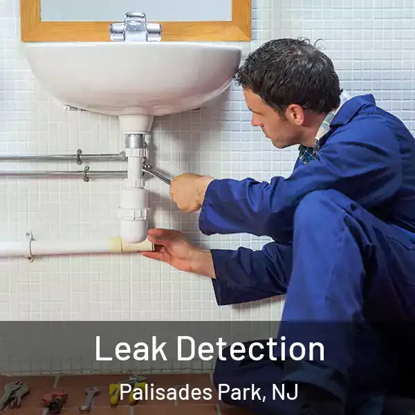  Leak Detection Palisades Park, NJ