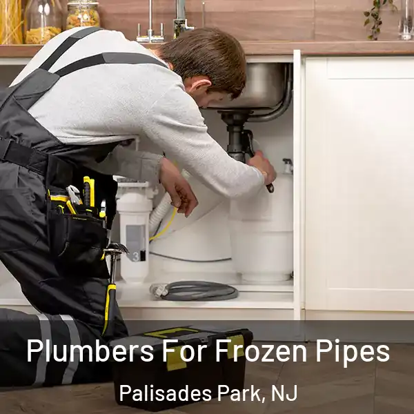  Plumbers For Frozen Pipes Palisades Park, NJ