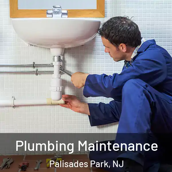  Plumbing Maintenance Palisades Park, NJ