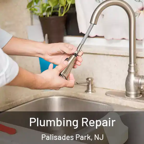  Plumbing Repair Palisades Park, NJ