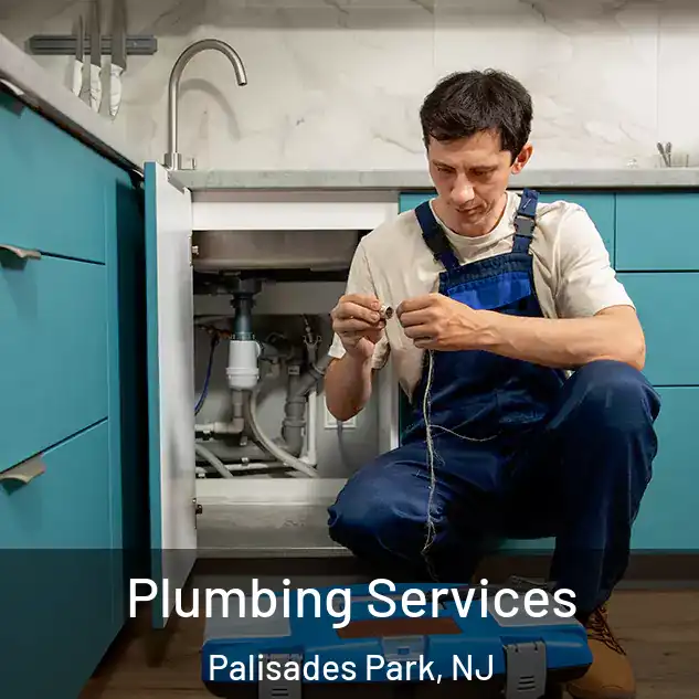 Plumbing Services Palisades Park, NJ