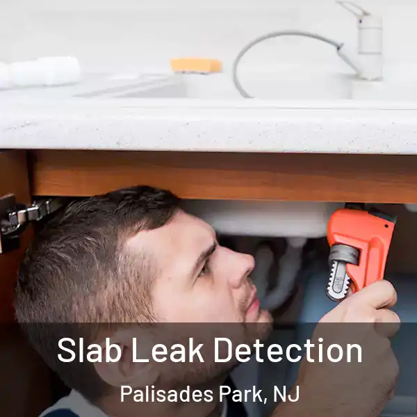  Slab Leak Detection Palisades Park, NJ