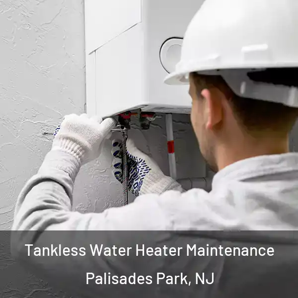  Tankless Water Heater Maintenance Palisades Park, NJ