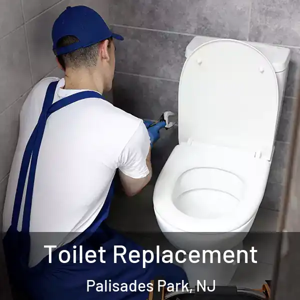  Toilet Replacement Palisades Park, NJ