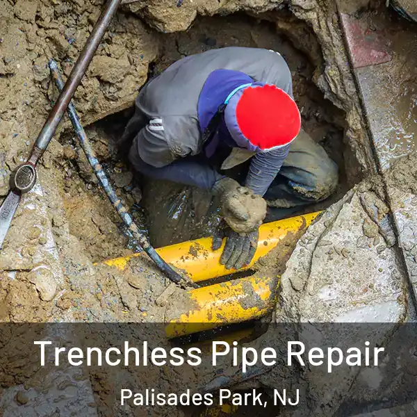  Trenchless Pipe Repair Palisades Park, NJ