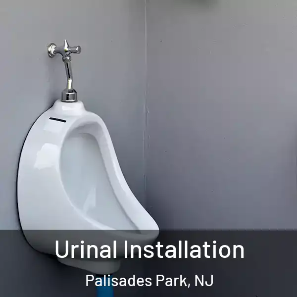  Urinal Installation Palisades Park, NJ