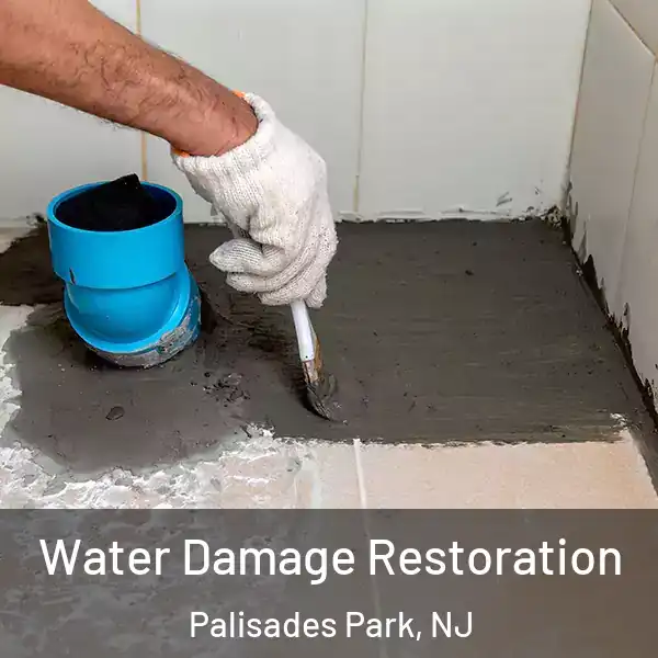  Water Damage Restoration Palisades Park, NJ