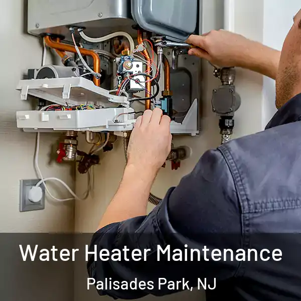  Water Heater Maintenance Palisades Park, NJ