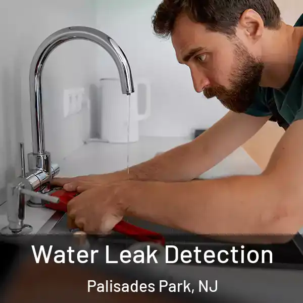  Water Leak Detection Palisades Park, NJ